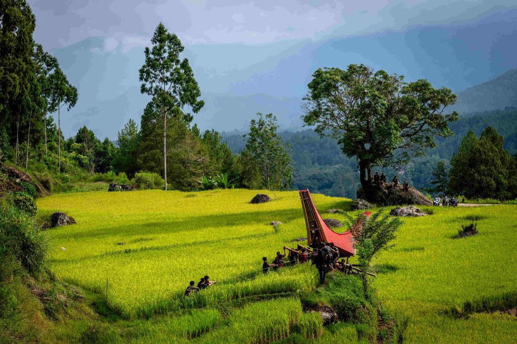 Ritual Makaburu di Toraja Utara/HARIANDI HAFID