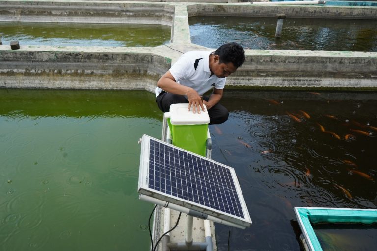 Mesin Pakan Otomatis Berbasis PLTS dan IoT dari UPT BBI Parangtambung Segera Diterapkan di Lorong Wisata