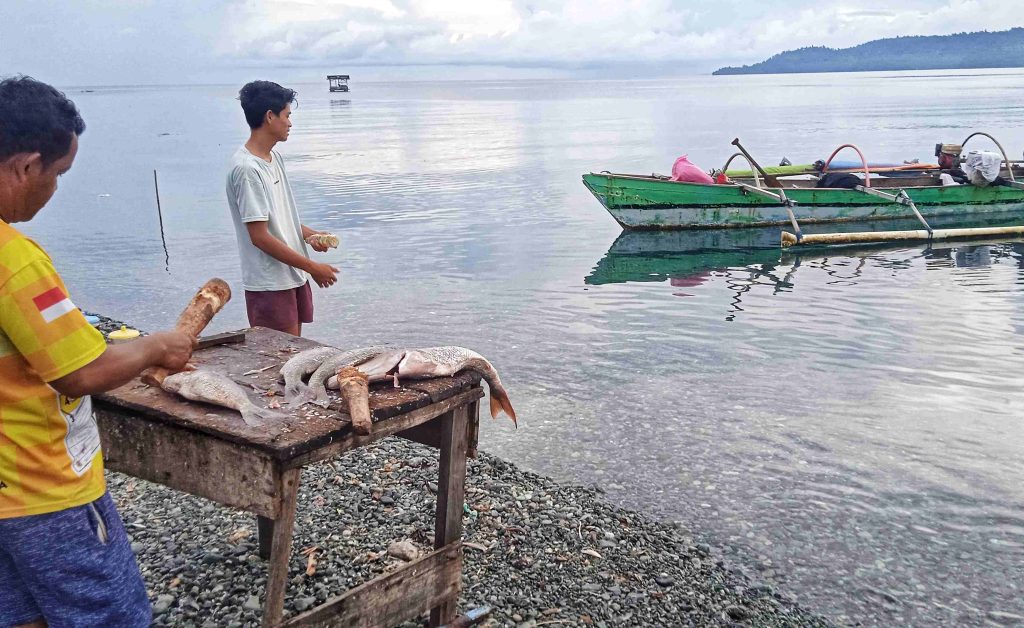 Kesegaran dari laut langsung ke meja jualan. Pasar Ikan Ampana menghadirkan ragam hasil tangkapan yang siap dijual setiap pagi, jadi denyut nadi ekonomi sekaligus kekayaan rasa dari pesisir Sulawesi Tengah.