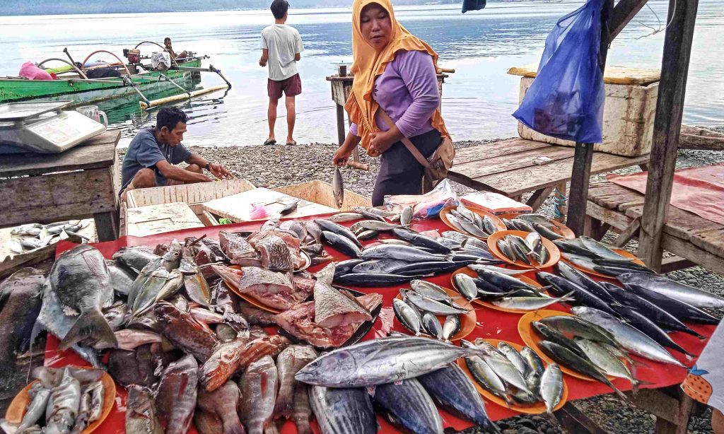 Kesegaran dari laut langsung ke meja jualan. Pasar Ikan Ampana menghadirkan ragam hasil tangkapan yang siap dijual setiap pagi, jadi denyut nadi ekonomi sekaligus kekayaan rasa dari pesisir Sulawesi Tengah.