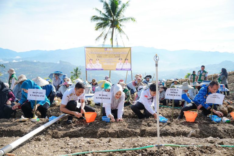 Dari Ladang hingga Puskesmas, Wagub Sulsel Perkuat Ikhtiar Tekan Stunting di Enrekang
