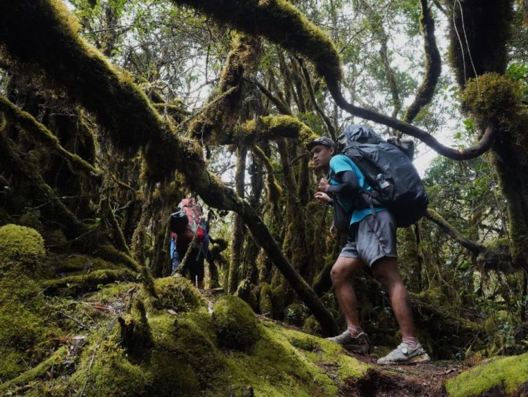 Jalan yang Menguji, Tanjakan Panjang dan Percakapan Sunyi