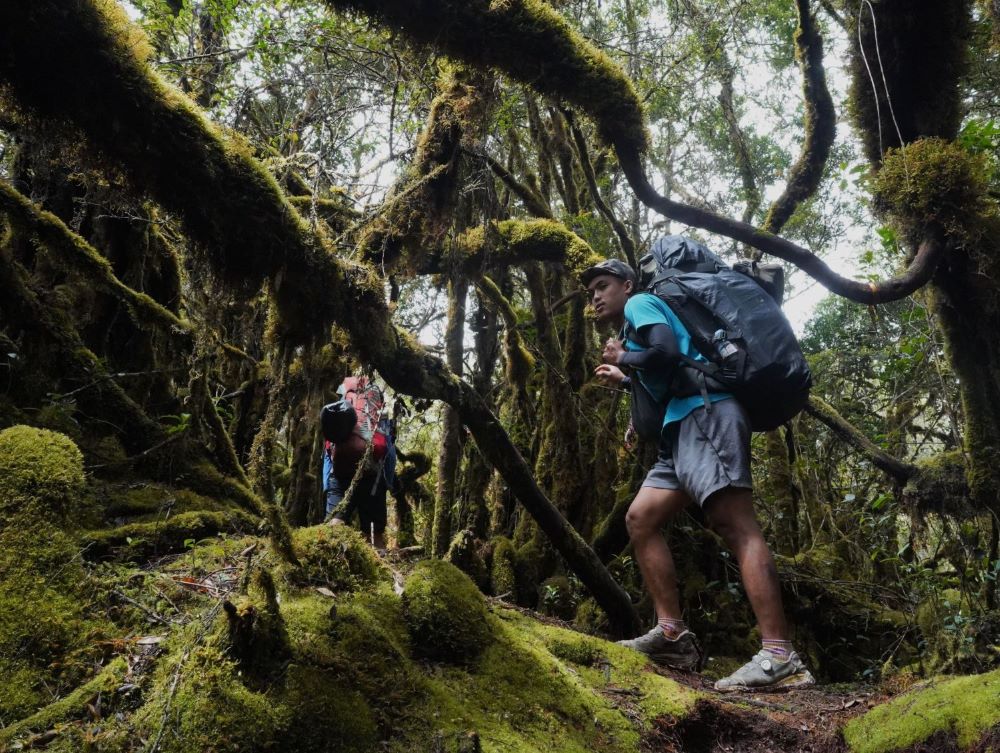 Jalan yang Menguji, Tanjakan Panjang dan Percakapan Sunyi