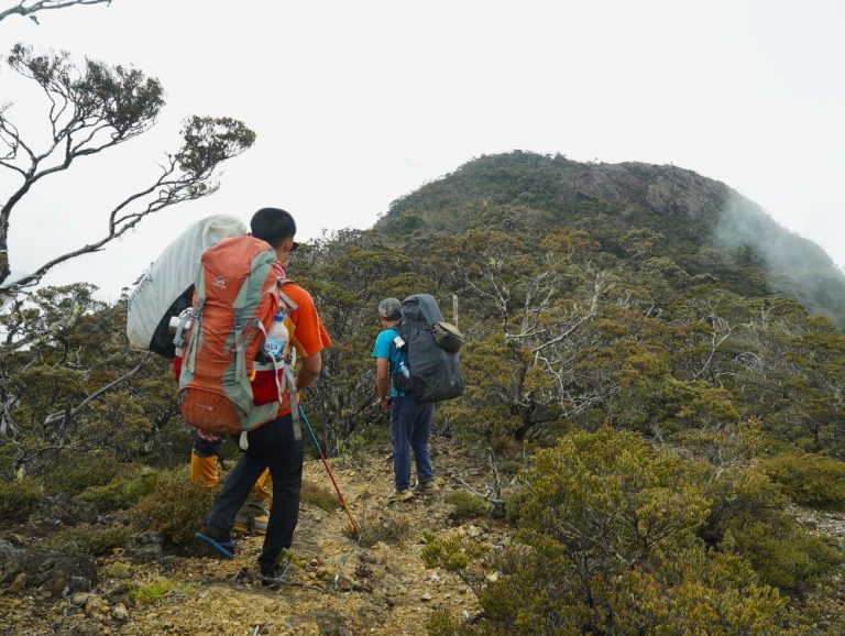 Jalan Pulang dan Hal-hal yang Tetap Tinggal