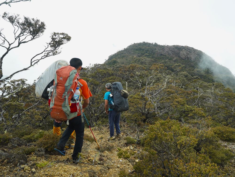 Jalan Pulang dan Hal-hal yang Tetap Tinggal